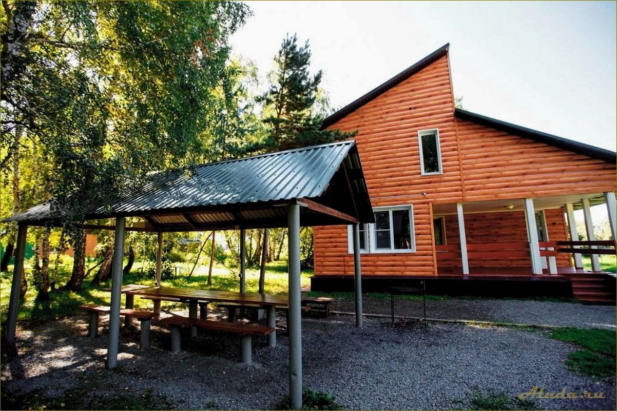 База отдыха в Розовке Омской области — идеальное место для отдыха на природе