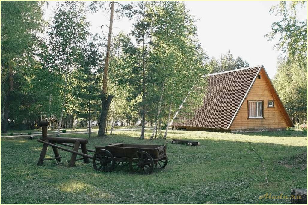 База отдыха в Шемышейском районе Пензенской области — отличный выбор для отдыха на природе