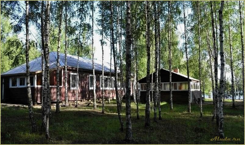 База отдыха в Смоленской области: Десногорск, Богданово