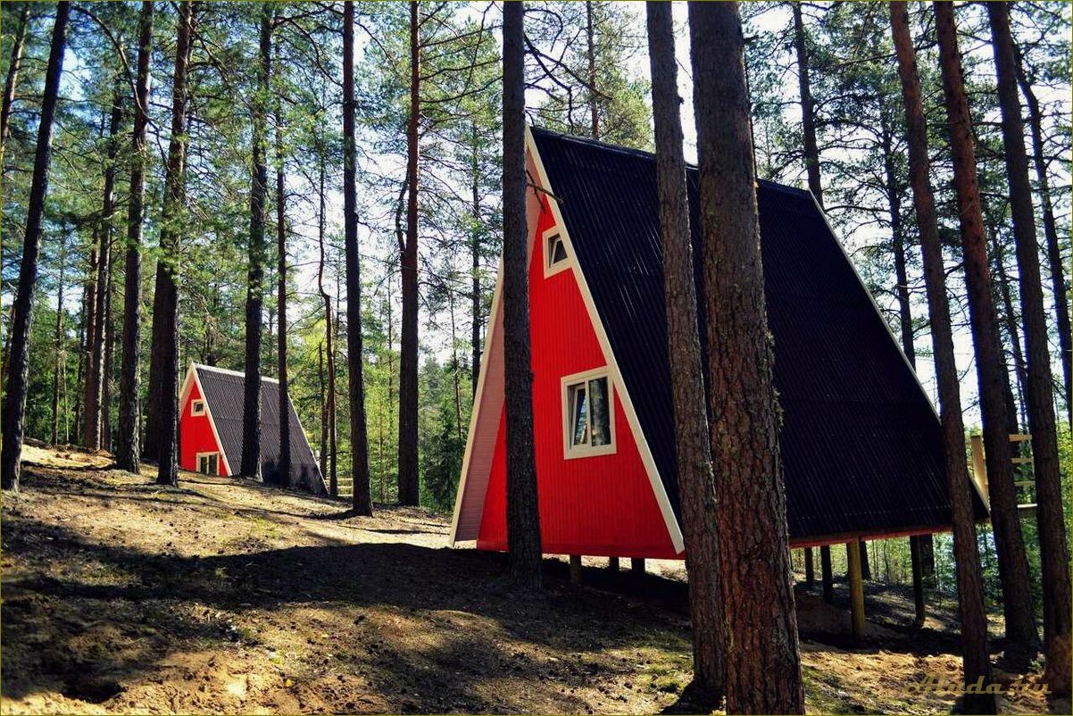 Уникальная база отдыха на Мурманском шоссе в Ленинградской области — идеальное место для семейного отдыха и активного времяпровождения
