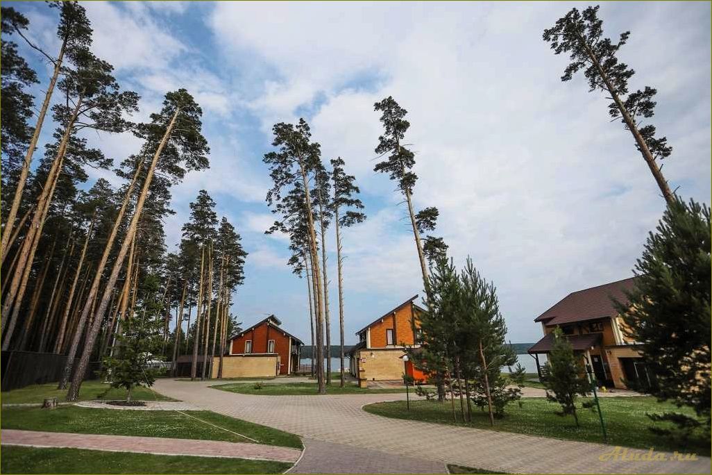 Лучшие базы отдыха в Новосибирской области на сутки, где можно насладиться природой и отдохнуть от городской суеты