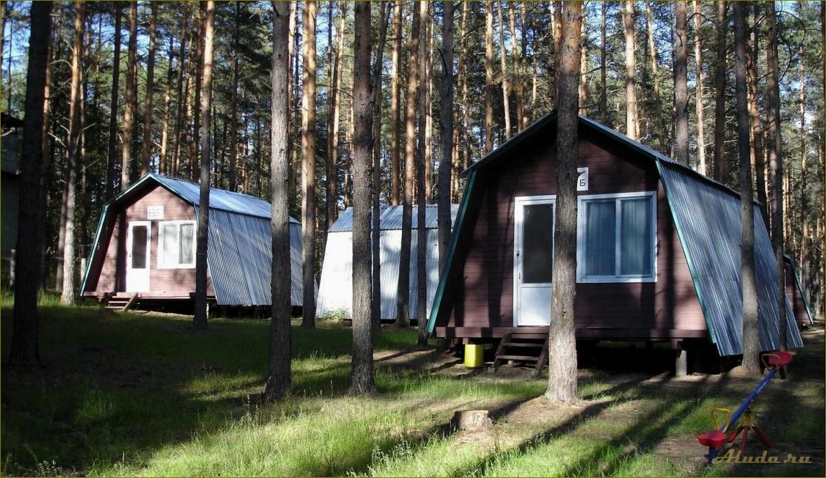 Уютные базы отдыха с отдельными домиками в живописной омской области — насладитесь природой и комфортом в одном месте!
