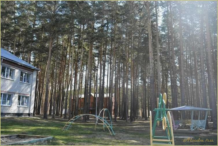 Детский лагерь отдыха в Свердловской области
