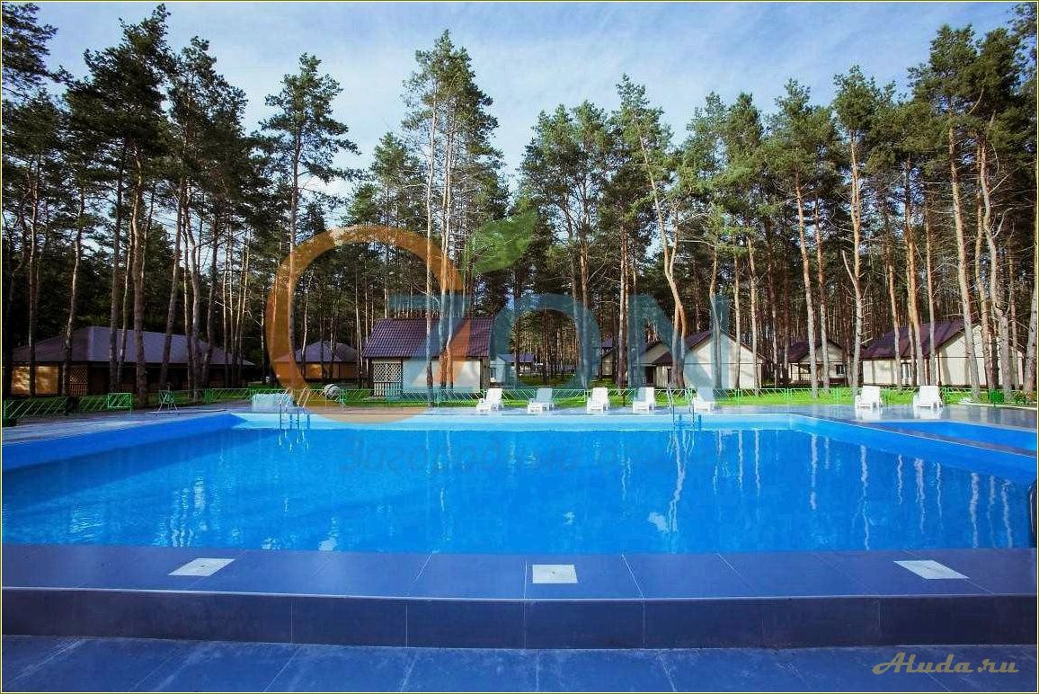 Идеальный отдых в Пензе и Пензенской области — роскошный дом с бассейном и шведским столом