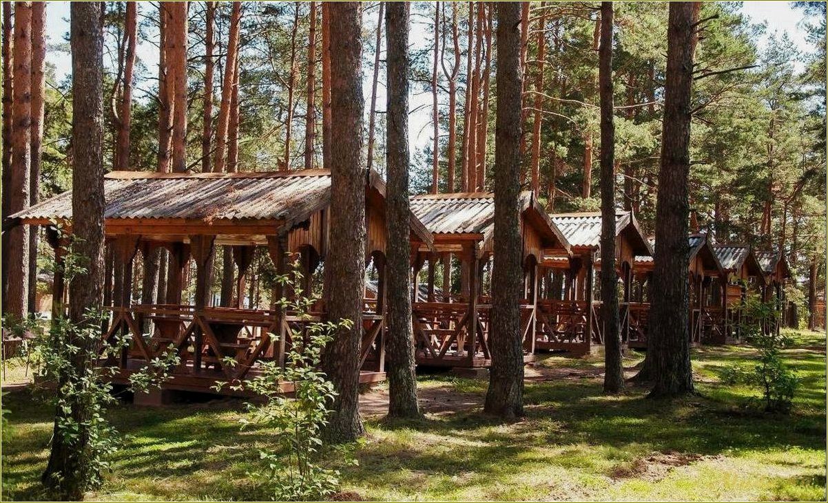 Лучшие гостиницы базы отдыха в Псковской области — комфорт, развлечения и незабываемые впечатления!