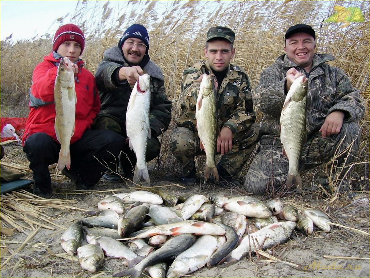 Отдых рыбалка в Тюменской области
