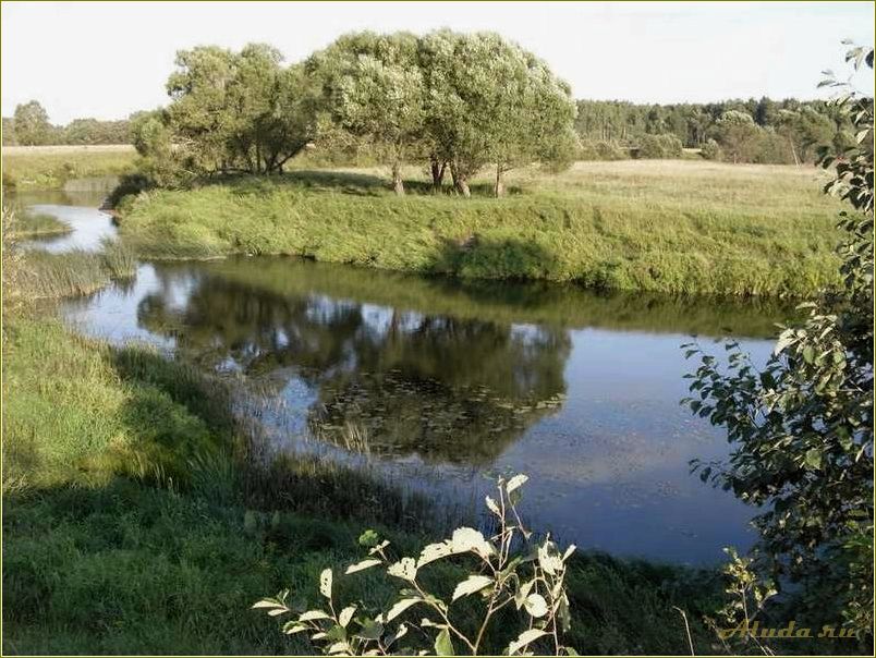 Река Шоша в Тверской области: отдых и развлечения