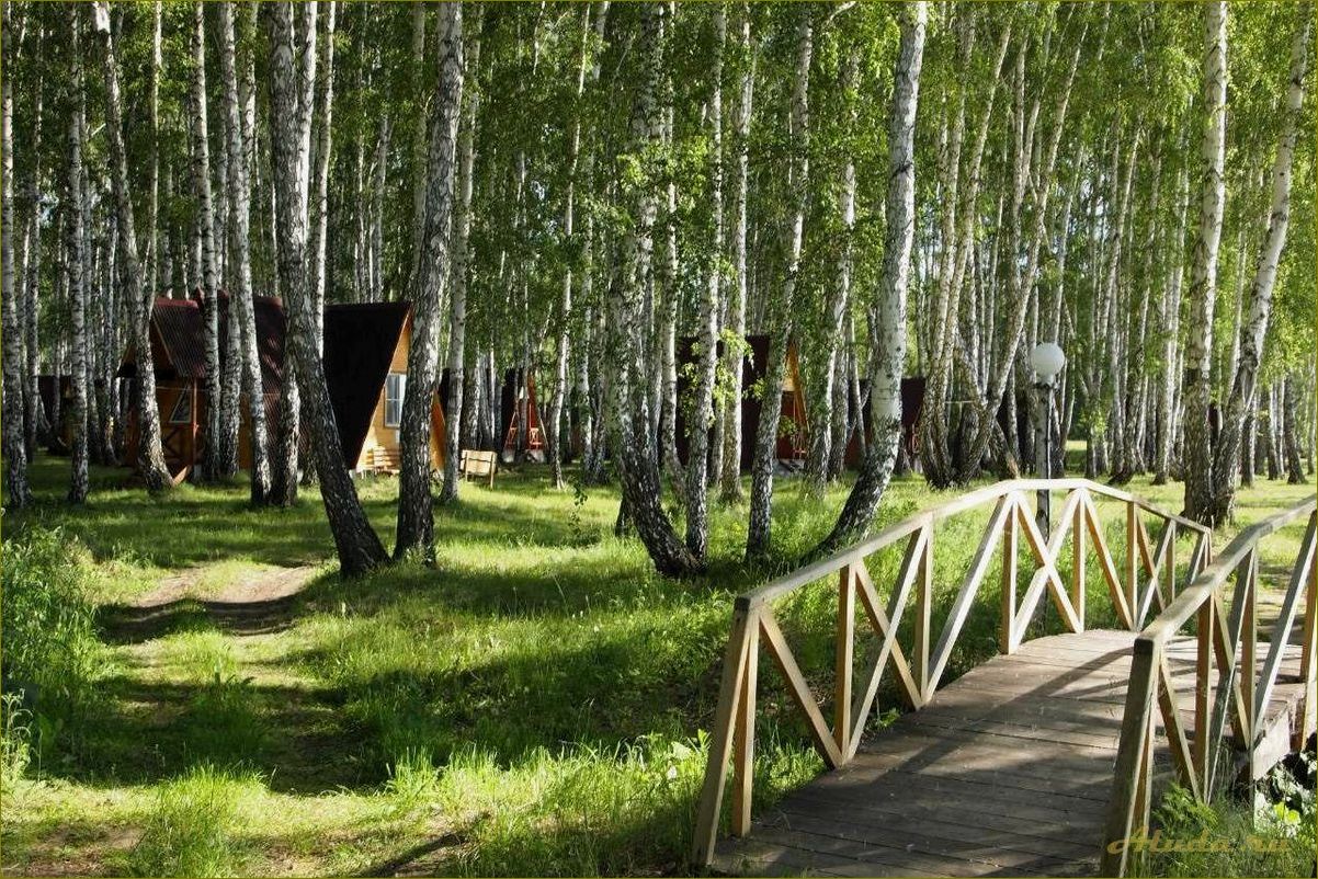 Идеальная база для семейного отдыха в Новосибирской области — откройте мир приключений и комфорта вместе с нами!