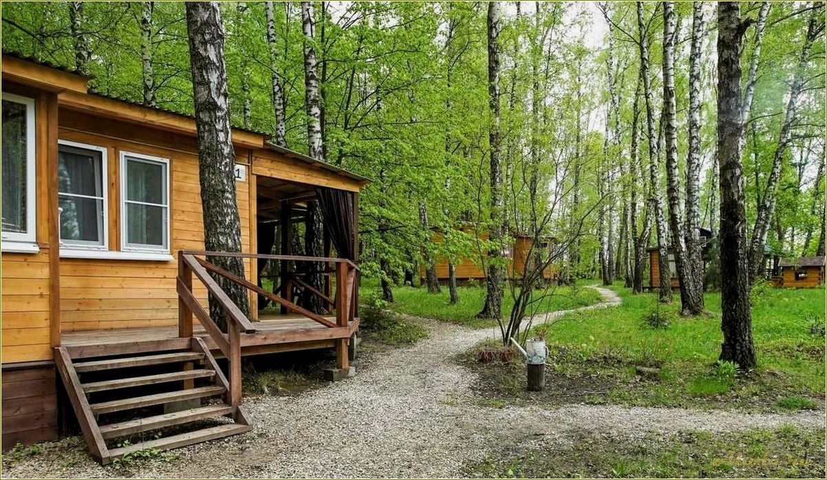 База отдыха в Тульской области: недорогие домики для комфортного отдыха