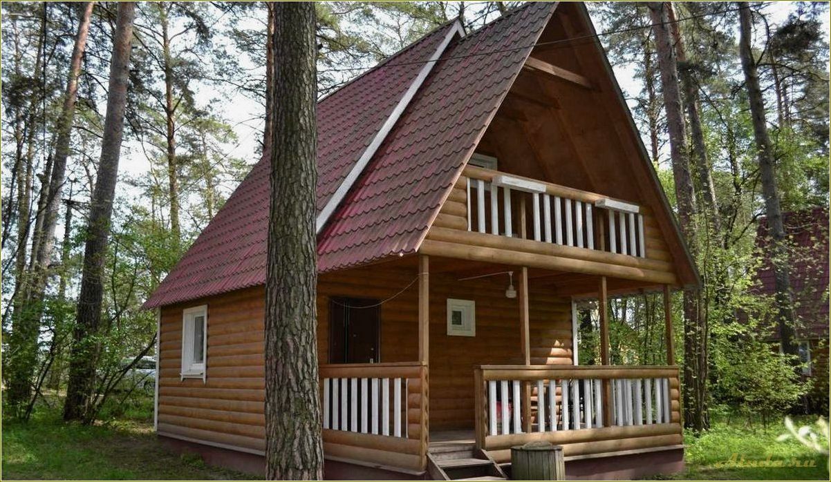 База отдыха в Тульской области: недорогие домики для комфортного отдыха