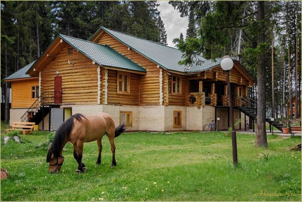 Базы отдыха на лошадях в Свердловской области