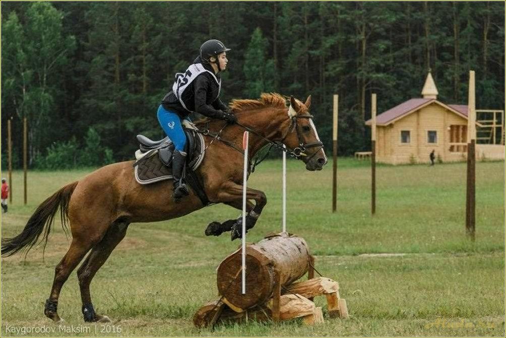 Базы отдыха на лошадях в Свердловской области