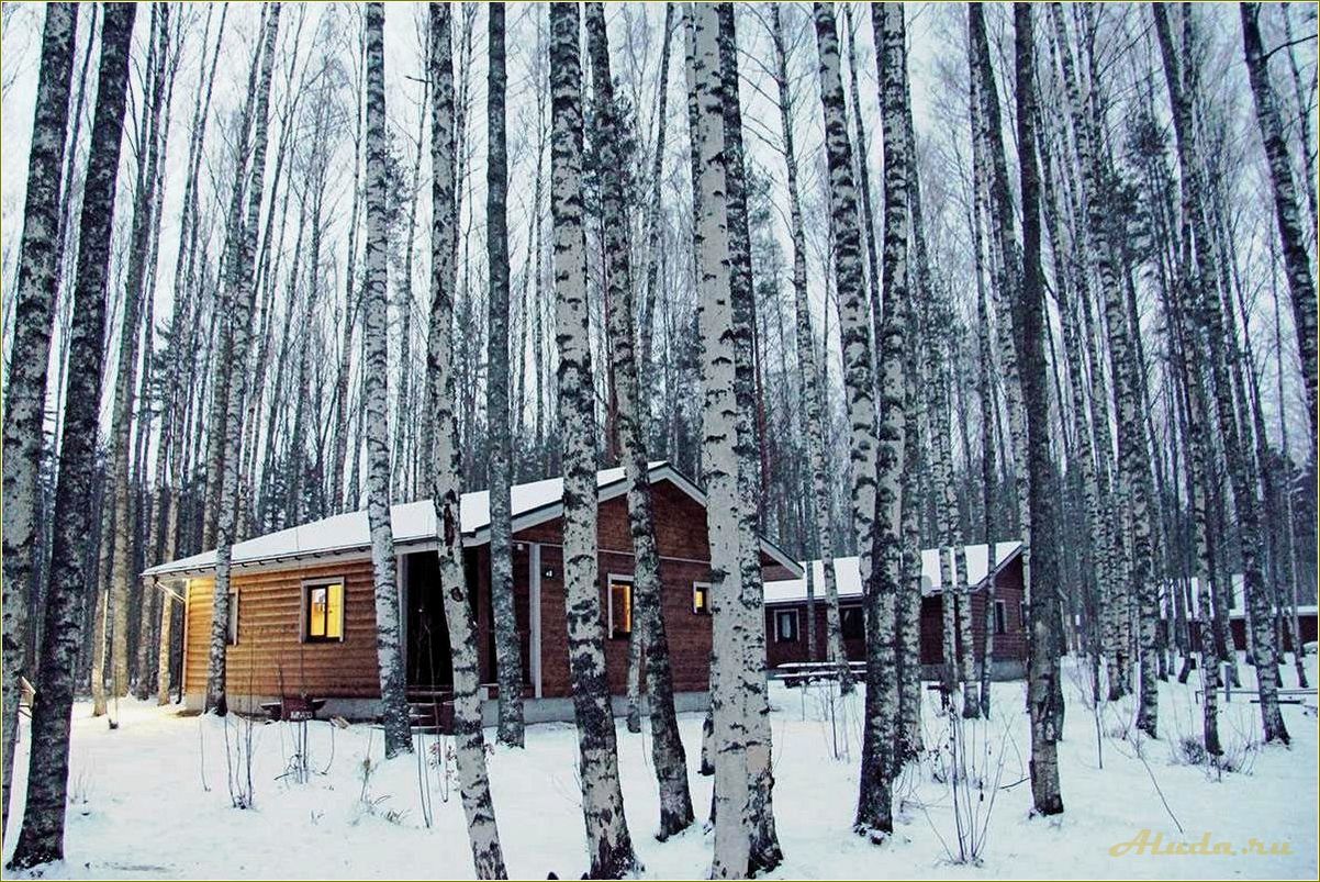 Базы отдыха свердловской области для отдыха зимой