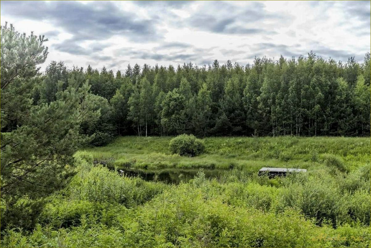 Базы отдыха в Крестецком районе Новгородской области — идеальное место для отдыха на природе