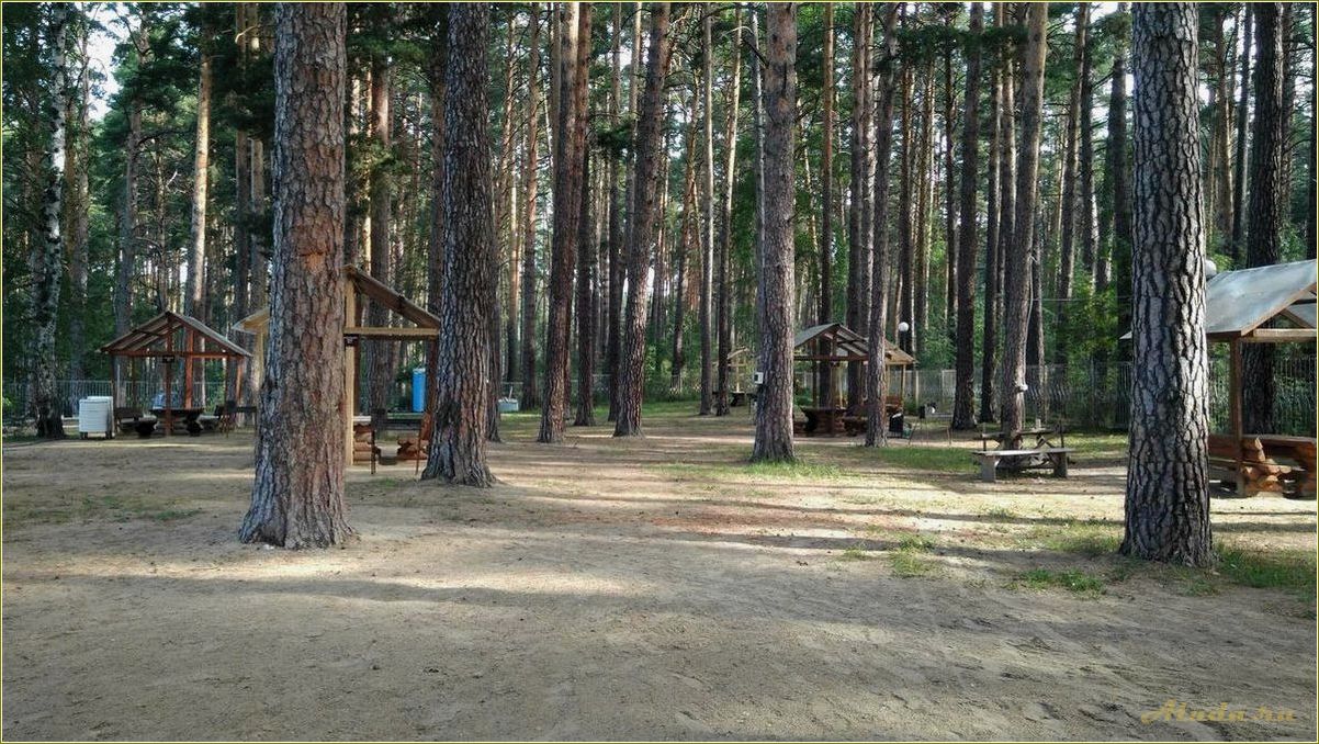 Еткульский район челябинской области: отдых и развлечения