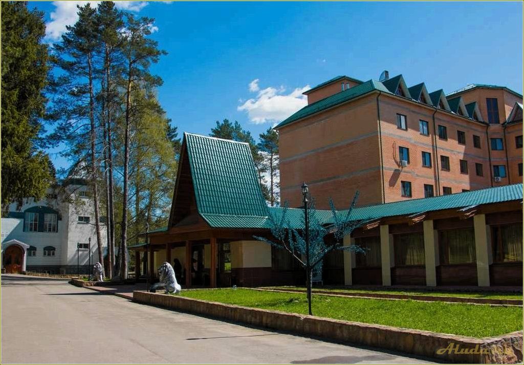 Лесная сказка: база отдыха в Ярославской области — официальный сайт