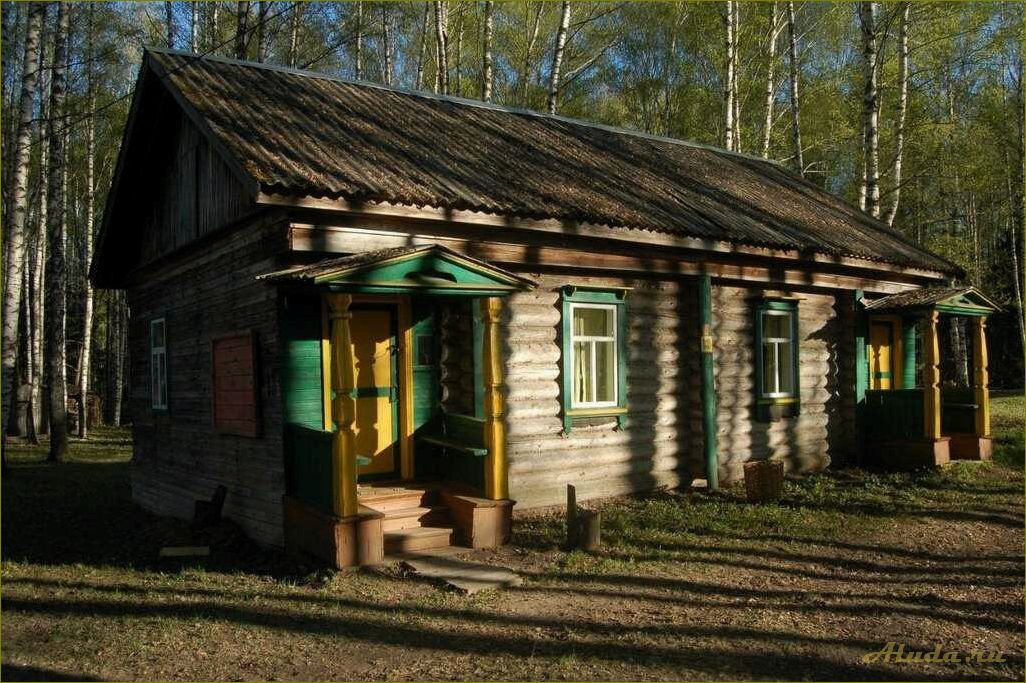 База отдыха в Богородском — идеальное место для отдыха в Нижегородской области