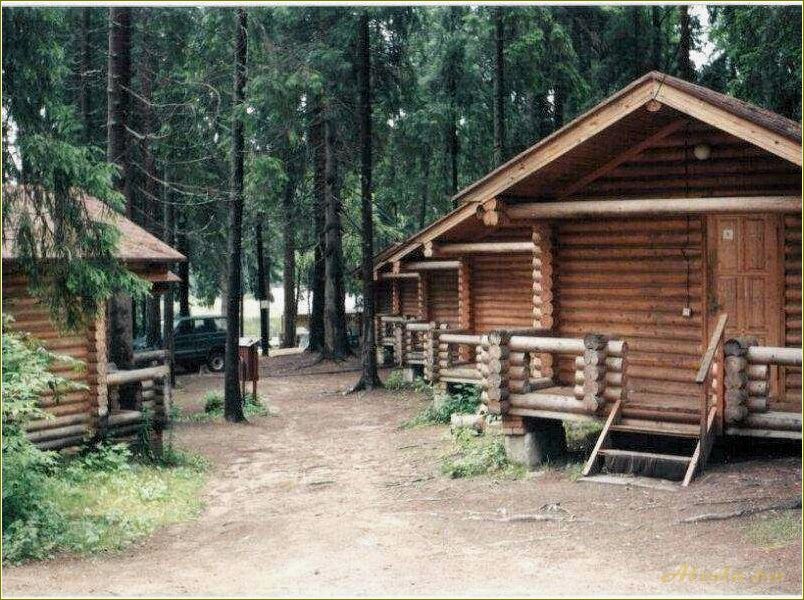 База отдыха Бор в Тверской области