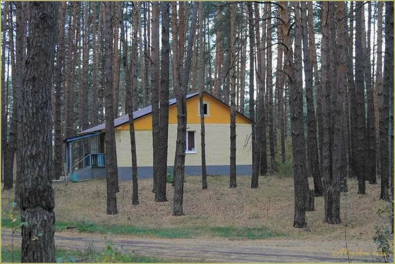 База отдыха для детей в Рязанской области — идеальное место для активного и интересного отдыха