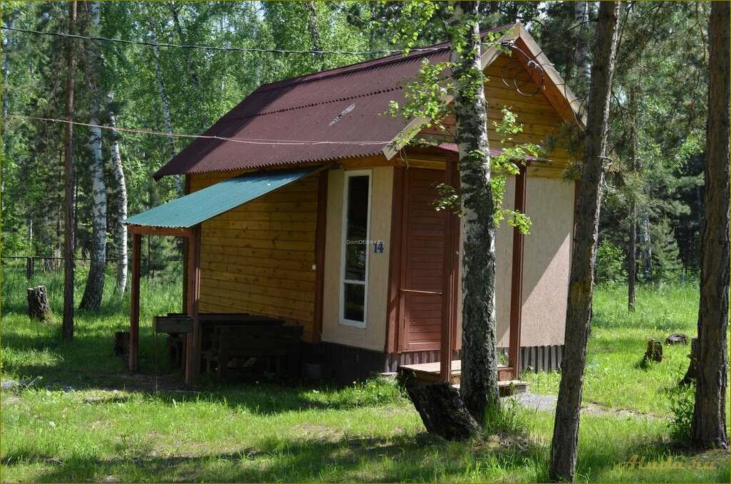 База отдыха в Боровом — отличный выбор для отдыха в Новосибирской области