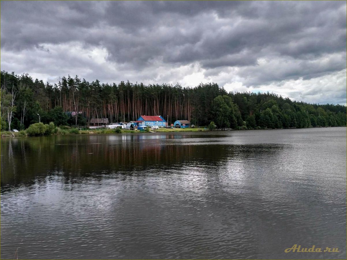 Базы отдыха Орловской области — наслаждайтесь природой и комфортом в лесном уединении