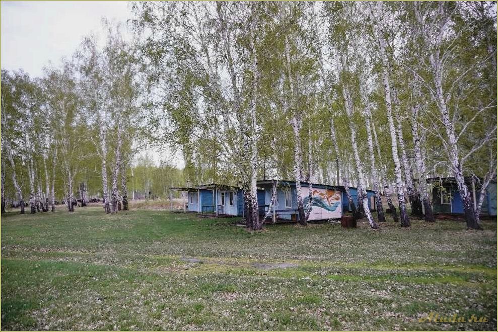 Базы отдыха Челябинской области: Чебакуль