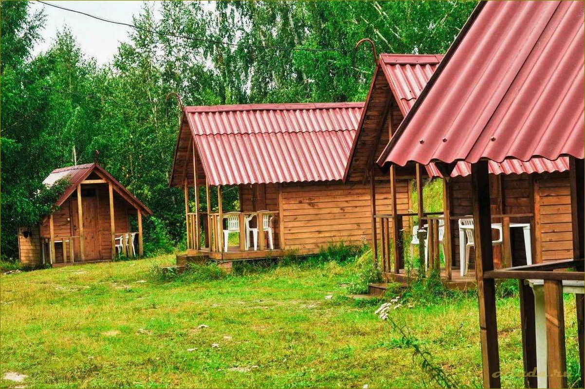 Караканский бор в Новосибирской области — база отдыха 