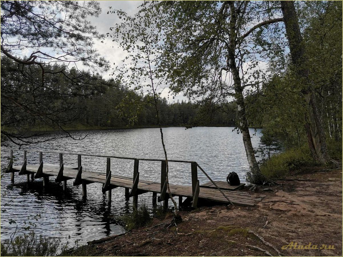 Погружение в природу — отдых на озере Себеж Псковской области