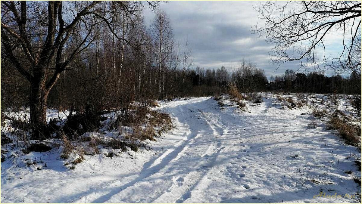 Отдых зимой в Смоленской области: лучшие места и развлечения