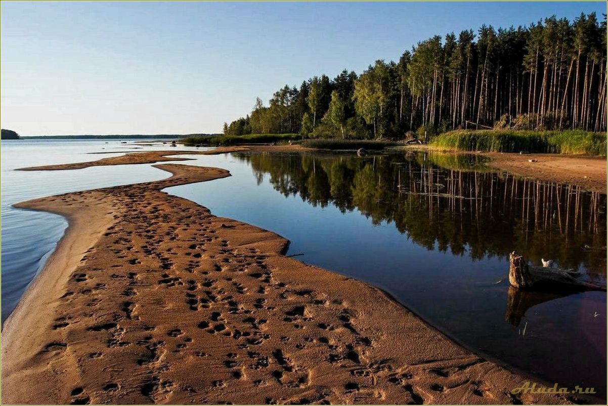Отдых на водохранилище в Тверской области