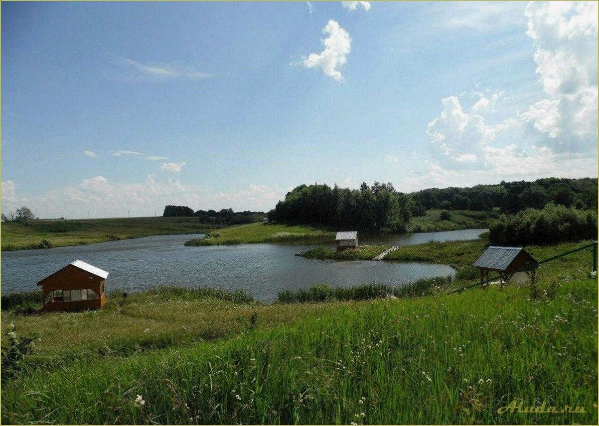 Отдых на рыбалке в Рязани и Рязанской области — лучшие места, снасти и секреты удачного улова
