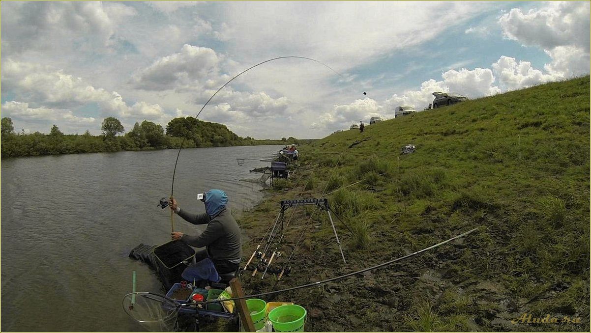 Отдых на рыбалке в Рязани и Рязанской области — лучшие места, снасти и секреты удачного улова