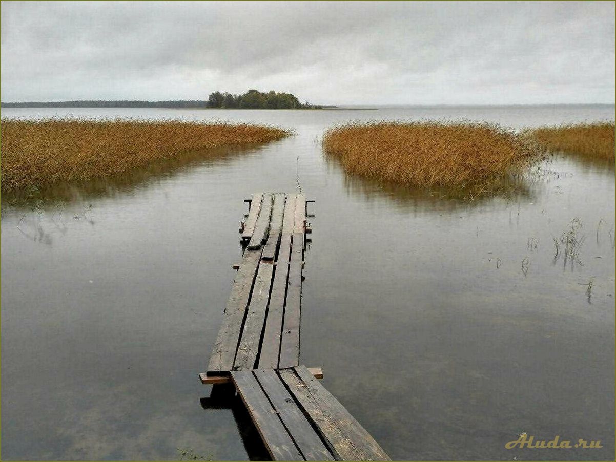 Отдых на озере Сиг в Тверской области