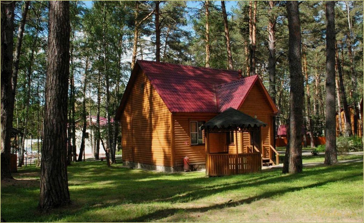 База отдыха на озере Тульская область: идеальное место для отдыха на природе