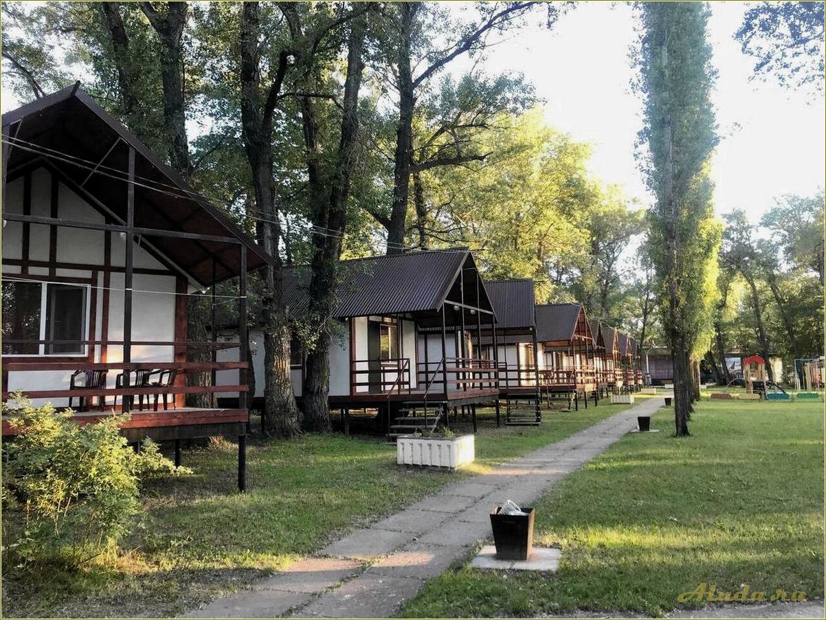Отдых в окружении природы: база отдыха в лесной местности Саратовской области