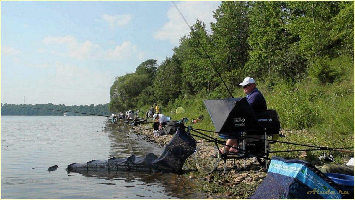 База отдыха на реке Великая в Псковской области — идеальное место для отпуска и релаксации