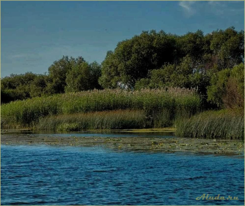 База отдыха на реке Великая в Псковской области — идеальное место для отпуска и релаксации