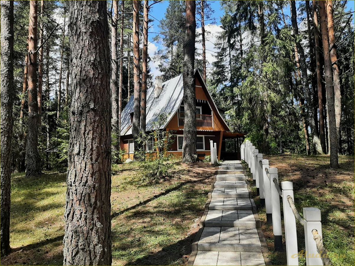 Белая гора — идеальная база отдыха в Новгородской области для всей семьи