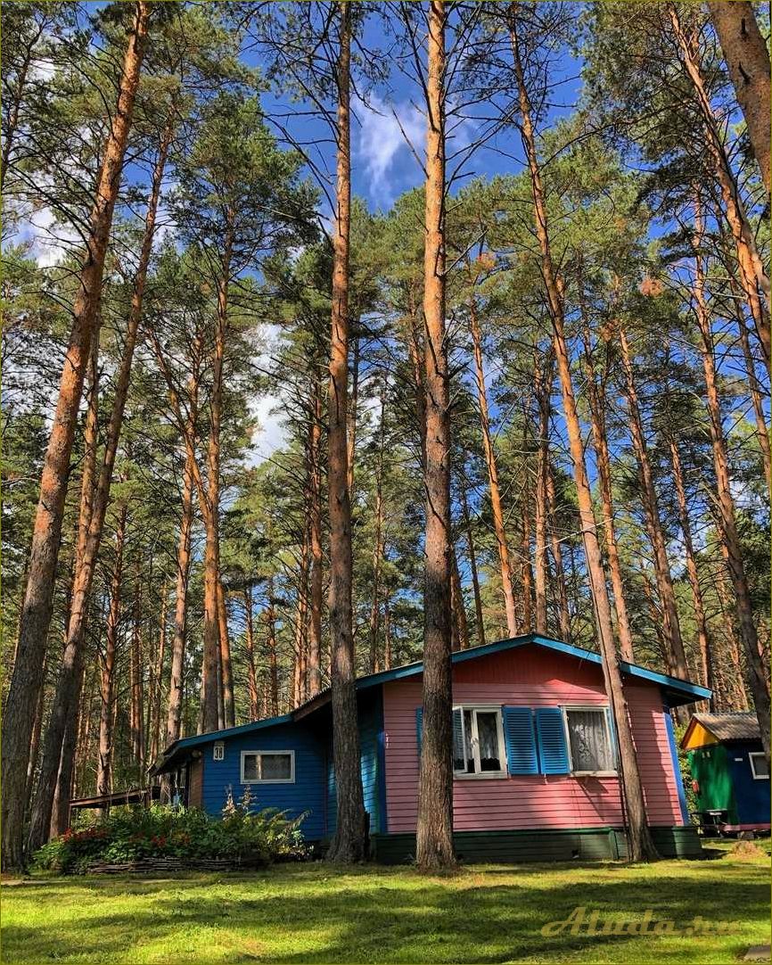 Дом отдыха в Артынском районе Омской области — идеальное место для релаксации и наслаждения природой