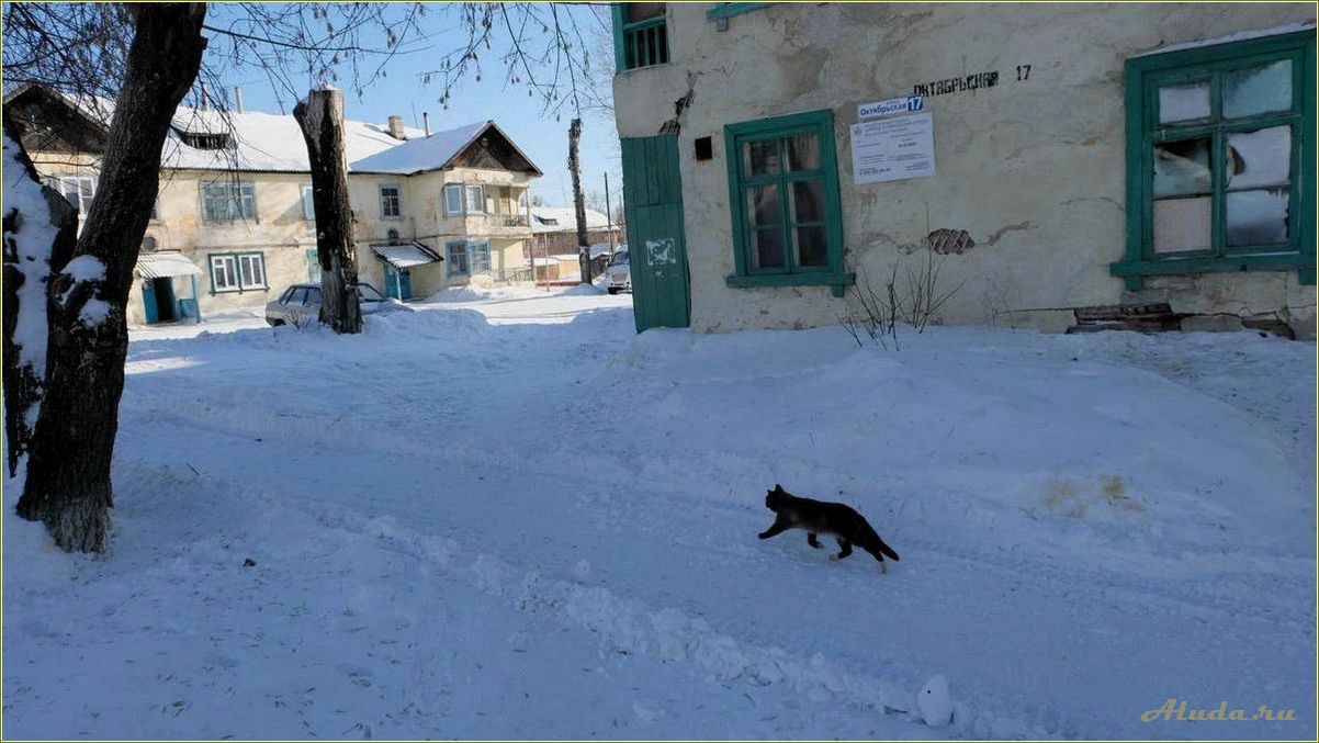 База отдыха в Лосиной, расположенная в Свердловской области