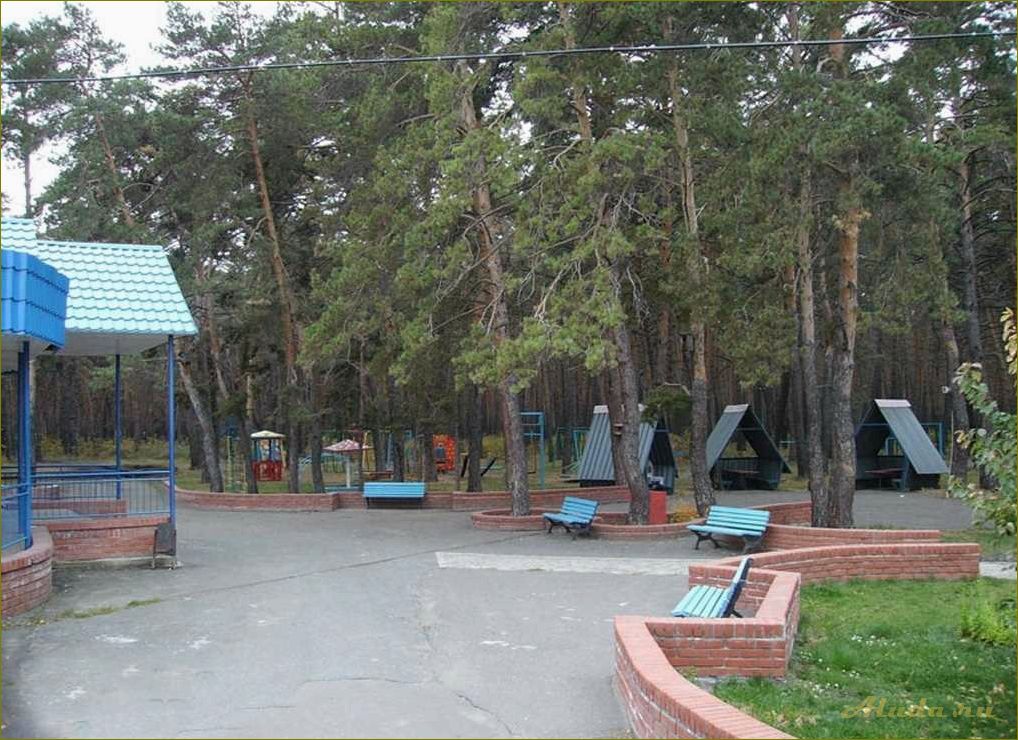 Отдых в Чернолучье Омская область — радуга отдыха и развлечений для всей семьи