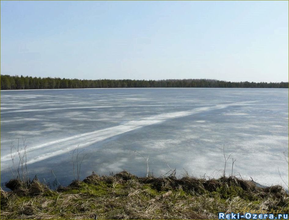 Отдых на Белом озере в Николаевском районе Ульяновской области