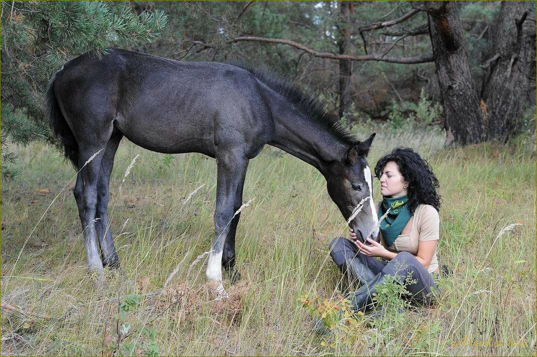 Отдых в Нижегородской области — в поисках приключений на серой лошади
