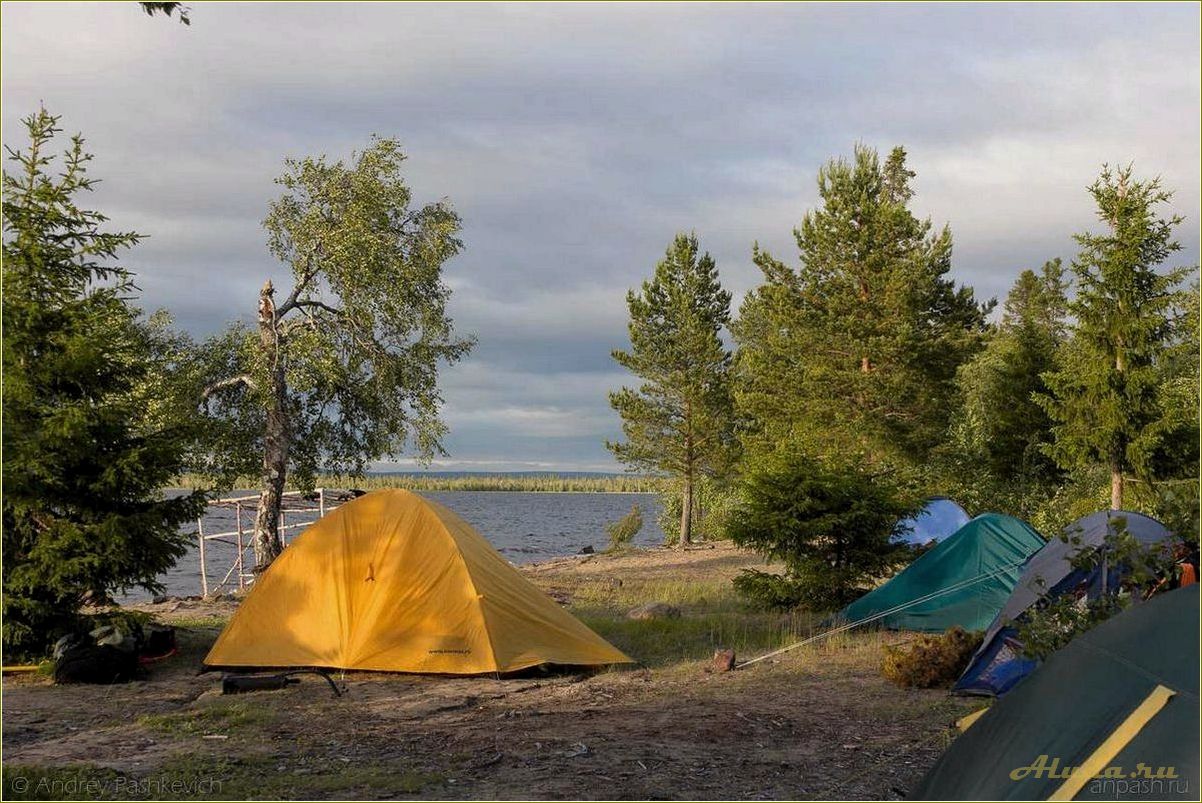 Отдых с палатками в Охотино, Ярославская область: лучшие места и советы