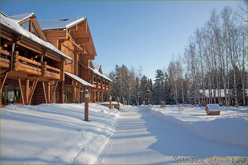 Отдых в Ярославской области: Романов лес