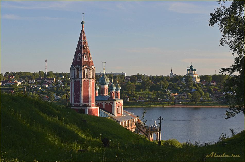 Отдых в Ярославской области: Романов лес