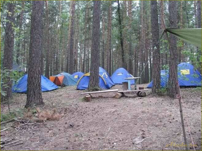 Палаточный отдых в прекрасной природе Новосибирской области — идеальный способ насладиться приключениями и отдохнуть от городской суеты