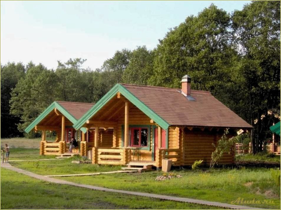Псковская область предлагает широкий выбор домов для отдыха в живописных местах