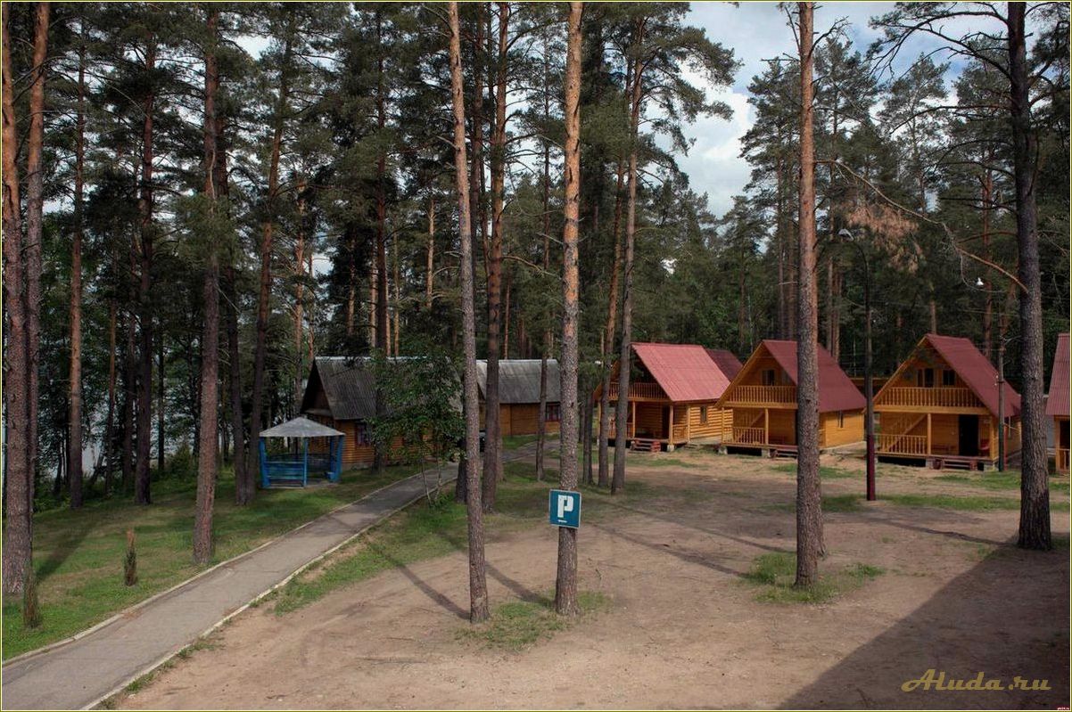 Лучшая база отдыха в Псковской области для детей — комфорт, развлечения и безопасность