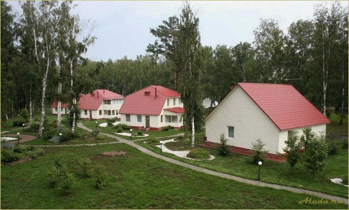 База отдыха Харская Заимка в Томской области: отличный выбор для отдыха на природе